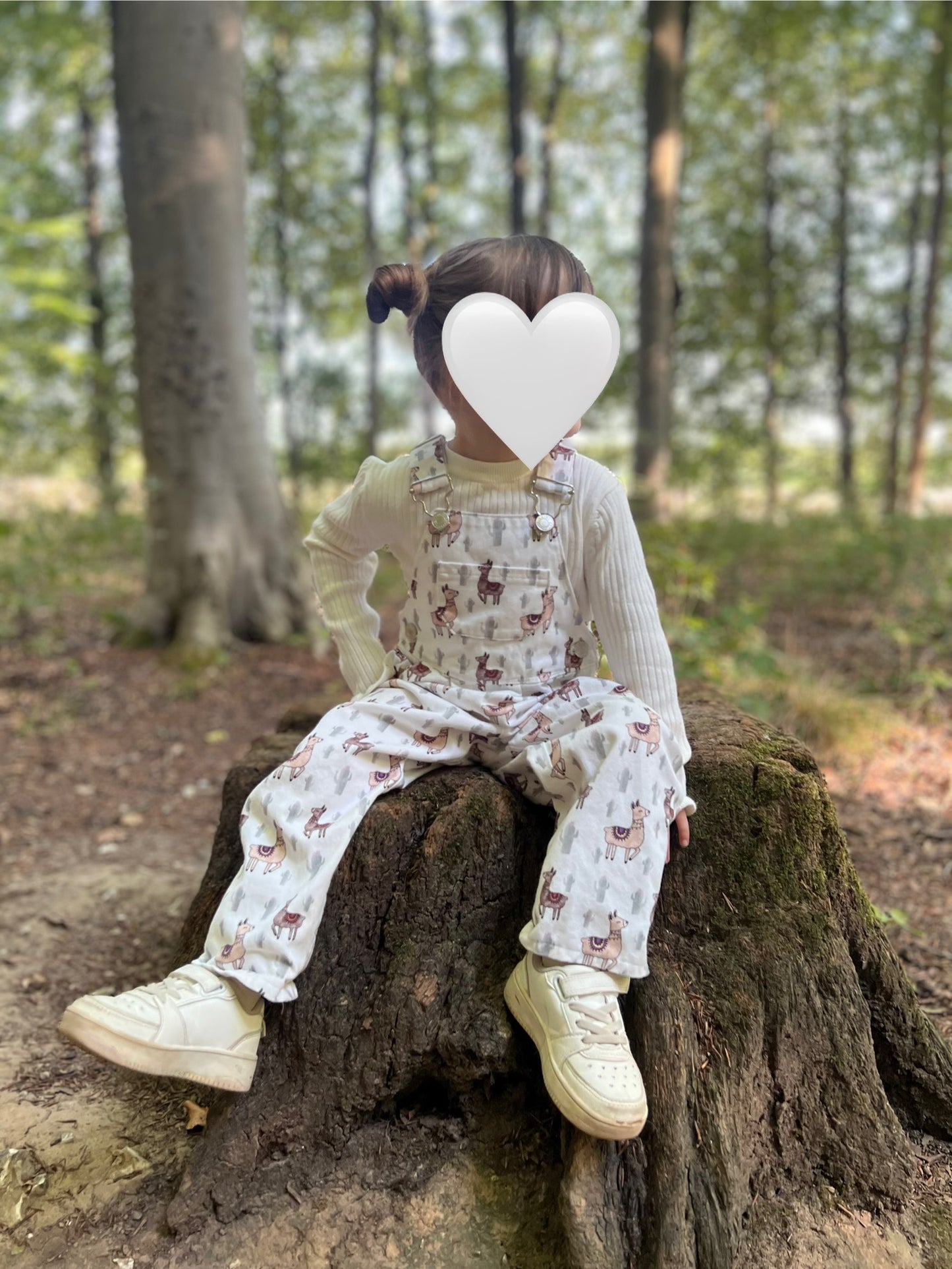 Alpaca Dungarees - 100% Cotton *Made to Order*